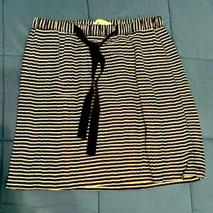 Ann Taylor Loft Skirt